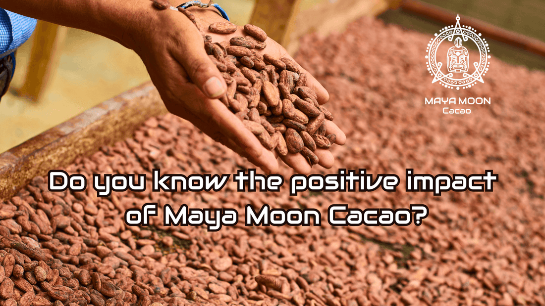 Direct trade cacao from bean to bar ceremonial grade