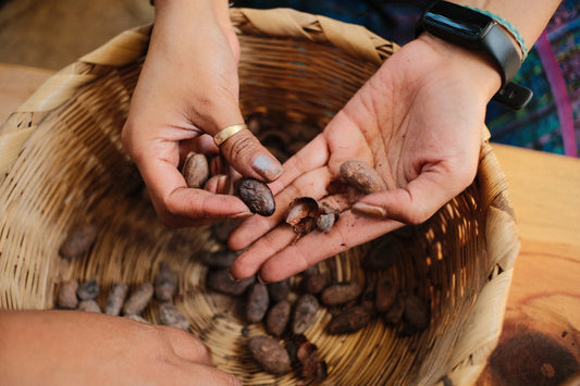 Theobromine vs Caffeine: Why Cacao Doesn't Crash You
