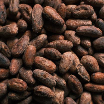 Raw Guatemalan cacao beans – single-origin, sun-dried ceremonial cacao source
